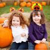 Geefuun 6PCS Thanksgiving Turkey Headband Decorations - Party Head Boppers Accessories