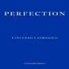 Perfection by Vincenzo Latronico Paperback Book 9781804271049
