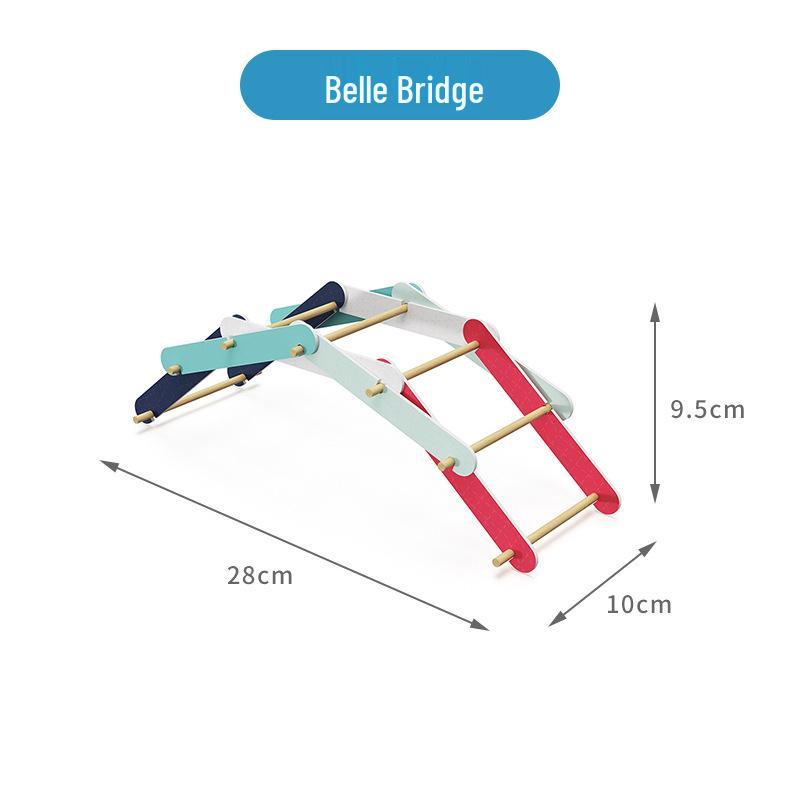 DIY Electromagnetic Science Kit: Double Force Ferris Wheel Bridge