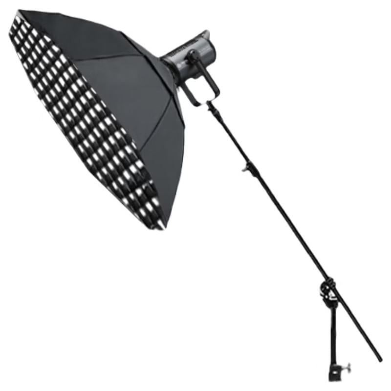 LED Video Photography Fill Light Kit with Octagonal Softbox