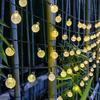 LED Solar Crystal Ball String Lights for Outdoor Camping and Tents – Fairy Bubble Lights