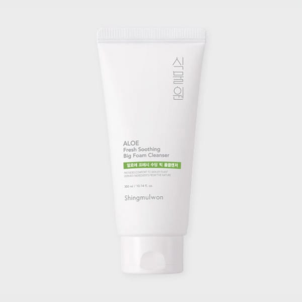 Botanical Garden Aloe Fresh Soothing Big Foam Cleanser