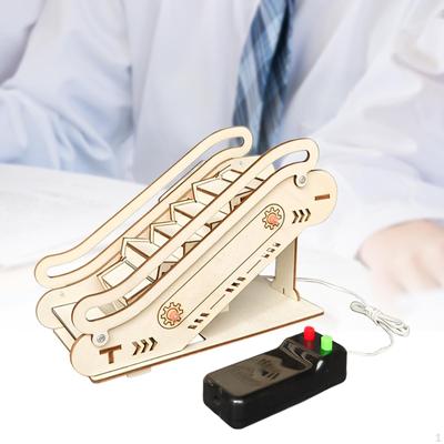 Model Taśmy Transportowej Puzzle 3D Zabawka do Budowania Projekty Rozwojowe Nauczanie Projekt Naukowy