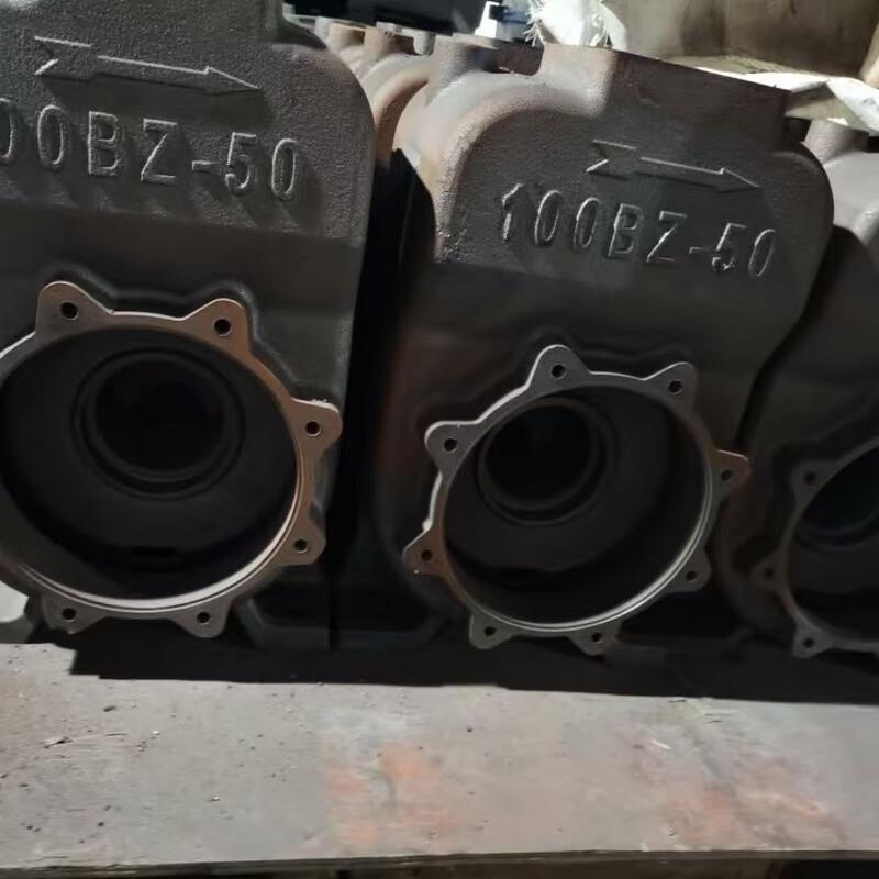

Cloud Rudder 100BZ-50 Self-Priming Pump Head