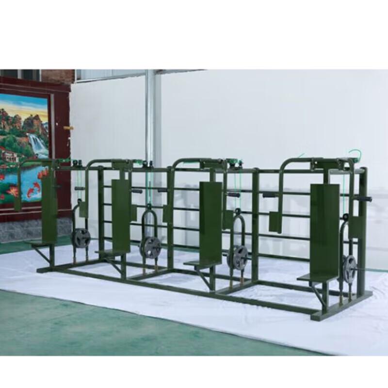 CTDX Outdoor Quad Pectoral Muscle Trainer