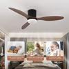Bedroom Variable Frequency Ceiling Fan Lamp Retro Simple Suspended Lighting Fan Household Silent Ceiling Fan Light