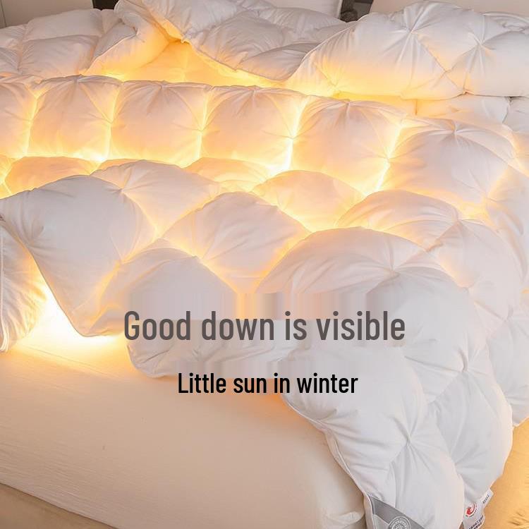 Luxury 95% White Goose Down Winter Quilt - Thick, All-Cotton, Five-Star Hotel Quality