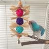 Pet Bird Chew Toy Natural Colorful Rattan Balls for Cockatiel Conure Cockatoos Teeth Grinding Toy for Cage