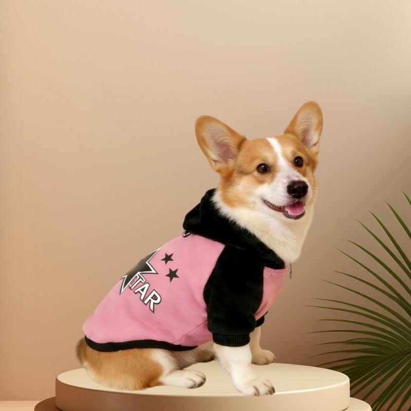Арктический Бархат Одежда для Питомцев Двусторонняя Носка Серебристый Лис Бархат Утолщенный Термо свитер Одежда для Щенков Одежда для Питомцев S розовый