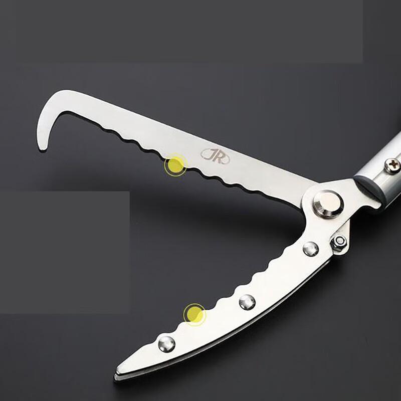 Homeglen Stainless Steel Eel & Snake Tongs