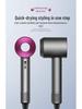 Sen Style High-Speed Hair Dryer with Negative Ion & Constant Temperature Hair Care