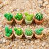 Mini Artificial Cactus Plants in Pot Miniature Potted Green Cactus Figurine for DIY Micro Landscape Fairy Garden Accessories Plant Pots Bonsai Crafts
