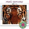 Full 5D Diy Diamond Painting Animal Tiger 5D Diamond Painting