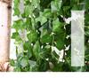 Artificial Ivy Wall-Hanging: Green Trailing Spider Plant Vines with Leaves
