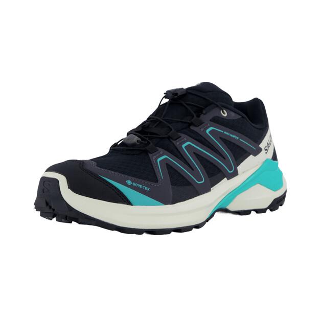 Треккинговые ботинки Salomon EXAMOTION GTX