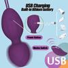 Kegel Exercise Weight Set 2 In 1 Ben Wa Suitable for Female Advanced Bladder Control Free Pelvic Vaginal Tightening Ball, Beginners, Training,