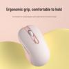 Cross-Border Bluetooth Dual-Mode Silent Mouse with Customizable Type-C for Laptop