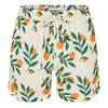 Threadbare Mens Ripen Regular Swim Shorts