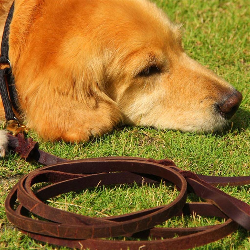 Strong Genuine Leather Dog Leash with Softening Treatment Comfortable Handle for Medium and Large German Shepherd Dogs