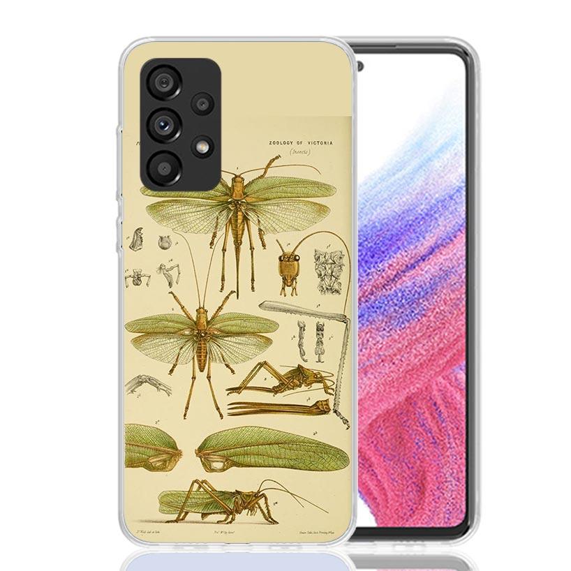 Bugs Bees Scientific Decomposition Phone Case For Samsung Galaxy A17 A16 A14 A15 A13 A57 A56 A54 A55 A53 A37 A36 A34 A35 A33 A26