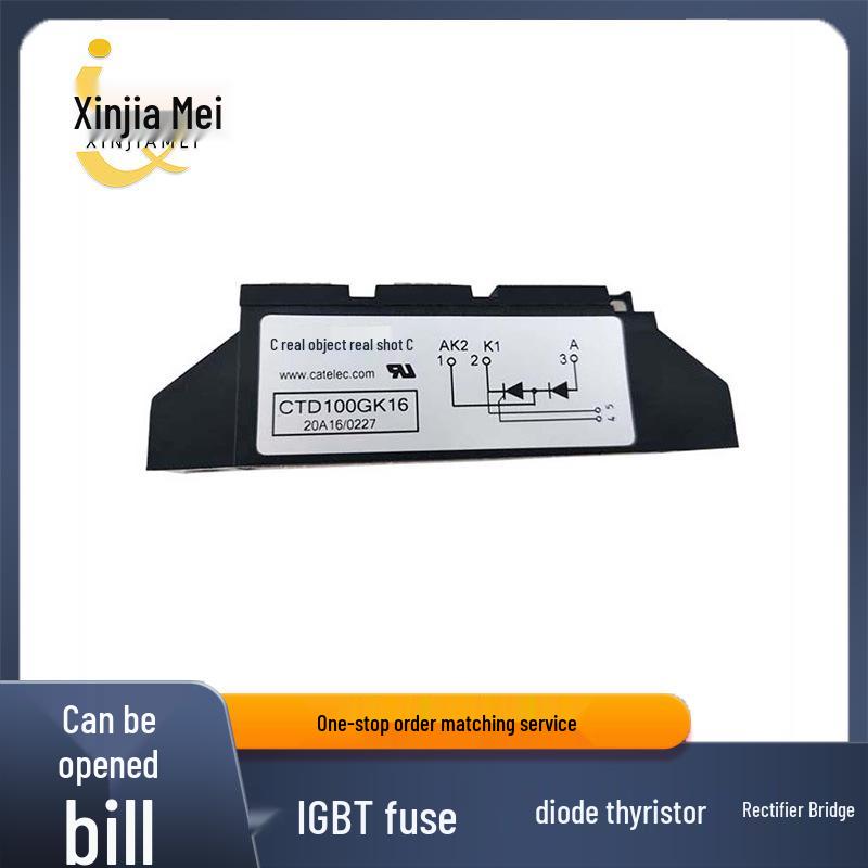 

CTD100GK16/08 Power Diode Module: Ample Stock Available 100GK08