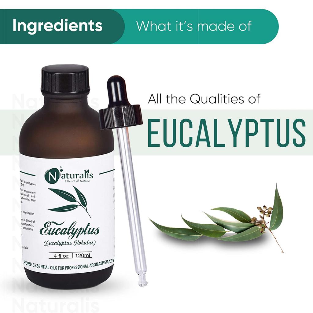 Naturalis Eucalyptus Oil Essential Oil – Pure Eucalyptus Essential Oil for Aromatherapy, Skin & Hair Care, Massage, Steam Inhalation, and Diffuse