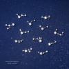Korean Fashion Twelve Constellation Earrings for Women S925 Sterling Silver Exquisite Sparkling Zircon Earrings