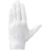 Mizuno Gachi Defensive JS Size with SOLV Seal Gloves, Size, Right-Handed/Left-Handed, 10 White,