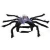 Dog Pet Halloween Cat Simulation Skull Black Spider Costume Cosplay Party Set