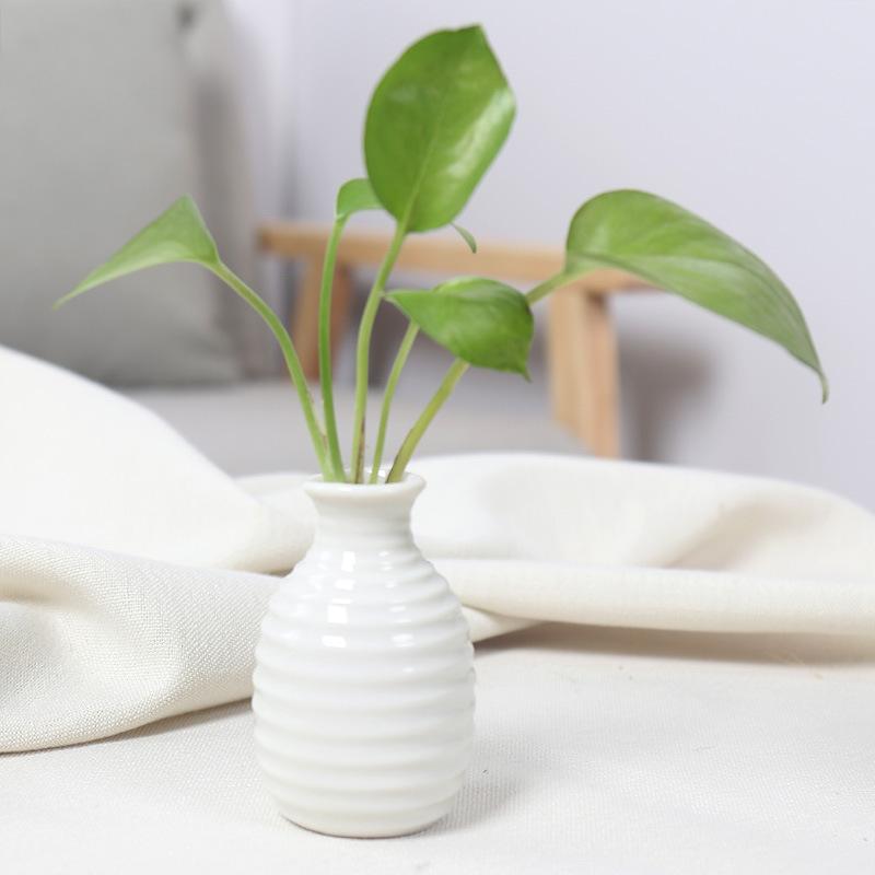 Ceramics Flower Vase Nordic Hydroponics Vases Creative Room Decor Mini Flower Plant Bottle Pots Table Ornament Colorful Vase