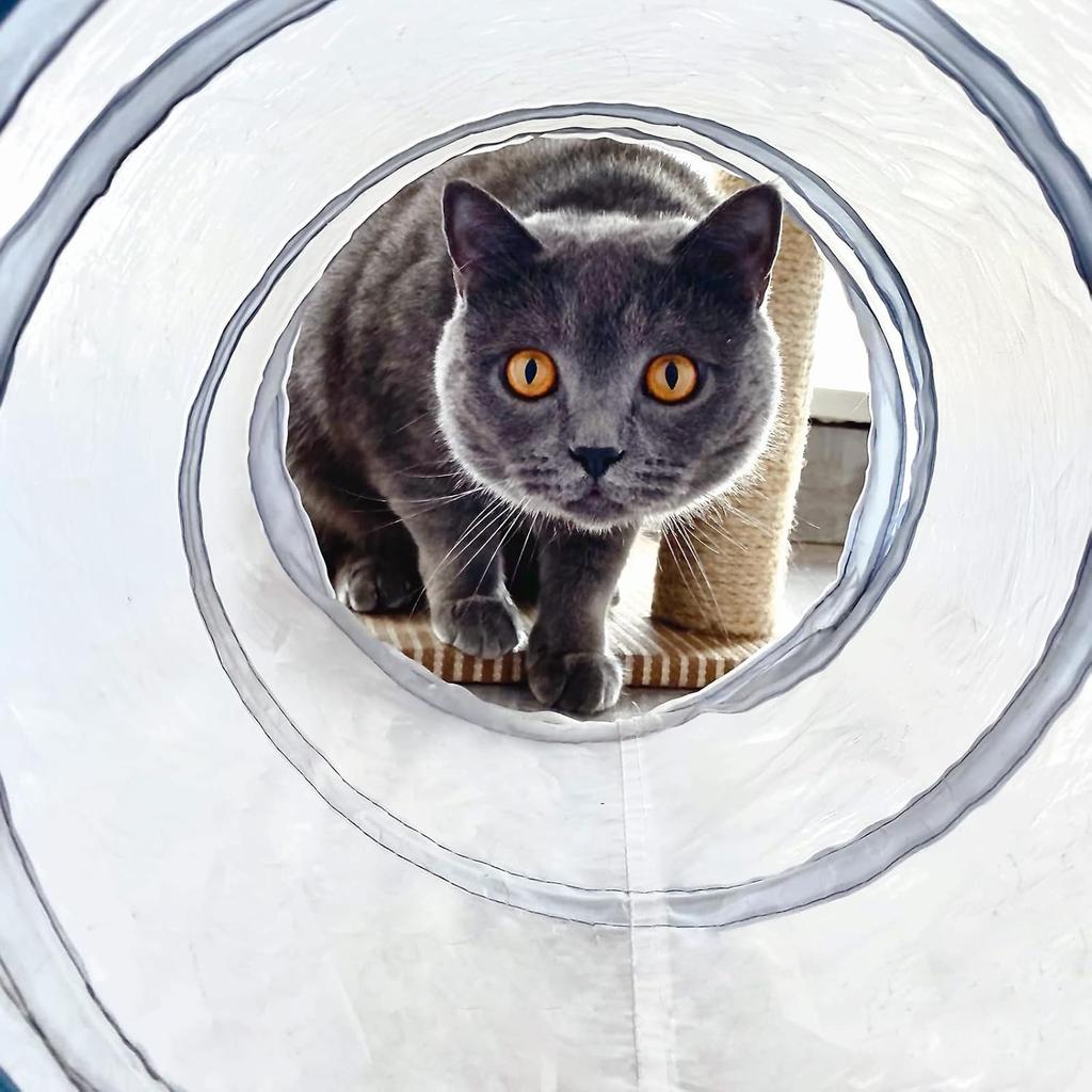 Cat Toys Cat Tunnel and Cat Cube Pop Up Collapsible Kitten Indoor Outdoor Toys-Collapsible 3 Way or 1wayCat Tube- for Cat, Puppy, Kitty, Kitten