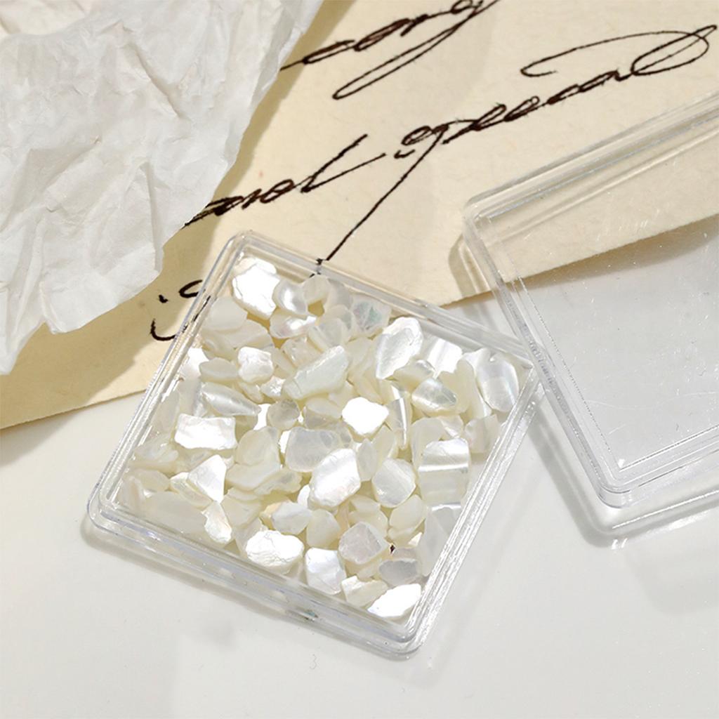 1 Dose Aurora Muschelflocken Abalone Nägel Charme Dünne Natürliche Unregelmäßige Scheibe Muschelstein Pailletten Maniküre Kunst Dekoration Salon DIY