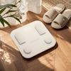 Qiman Smart Body Fat Scale (CN Version)