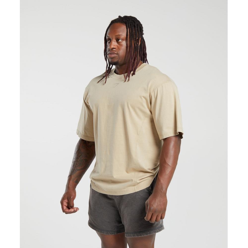 Gymshark HeriTage Washed T-shirt pouštní béžová A4a9h Nb1v