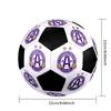 FK Austria Wien Soccer Ball Colorful All Ages Machine Stitched PVC Competition Ready Durable High-Bounce.SIZE5