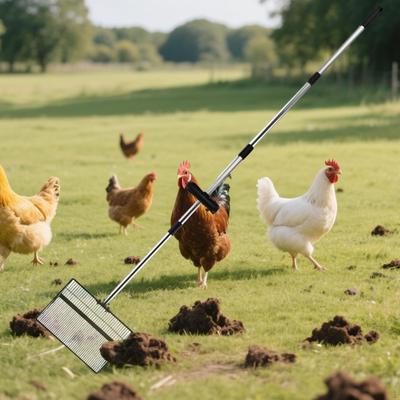 Recogedor de Caca de Pollo Suministros para Hábitat de Rancho Avícola Accesorios de Granja Robusto