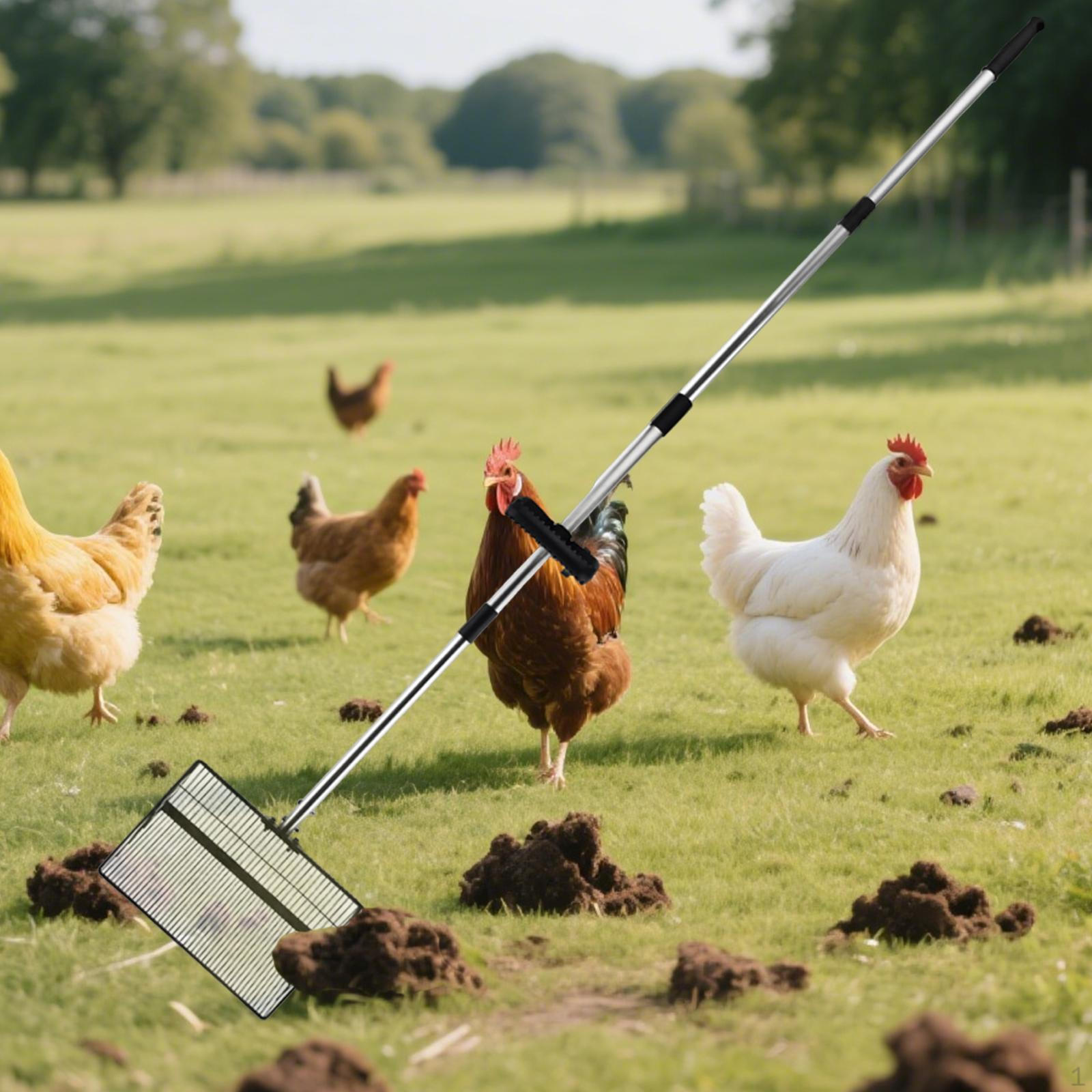 

Chicken Poop Scooper Poultry Ranch Habitat Supplies Farm Accessories Sturdy
