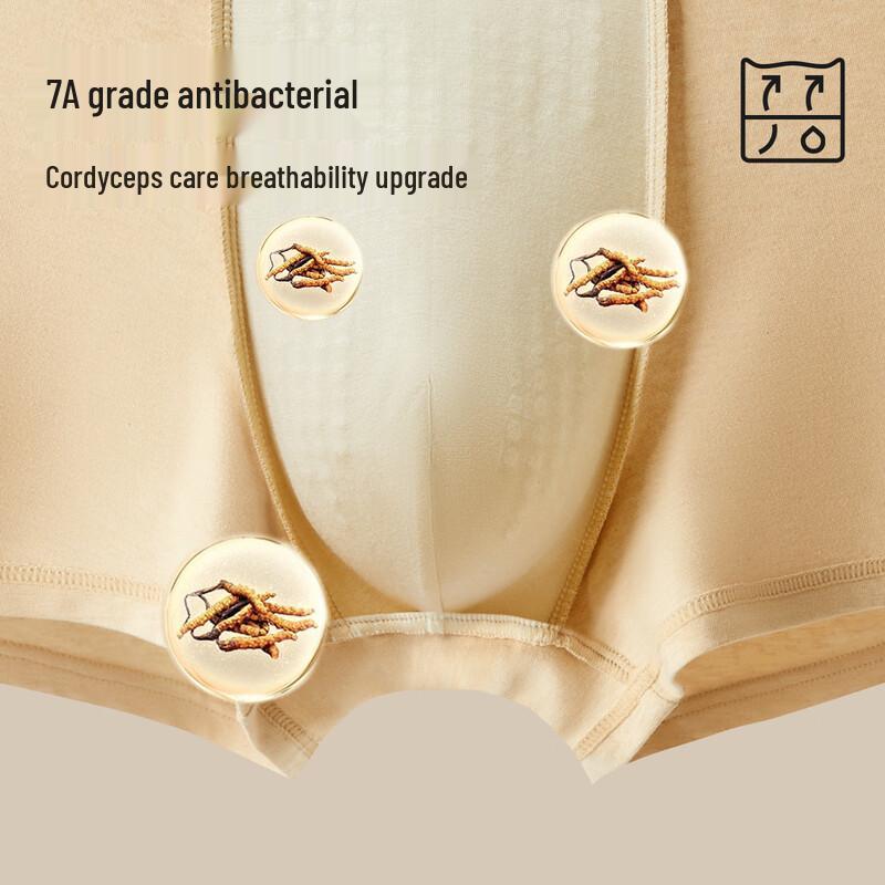 Mao Ren Men's Natural Color Cotton Antibacterial Boxer Briefs 3-Pack