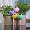 Plant Self Watering Globes Watering Device Automatic Plant Waterers Potted Plant Watering Device Self Watering Spikes