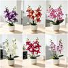 Silk Petals Artificial Orchid Flower Multicolor Simulated Orchid Plant  Office Hotel