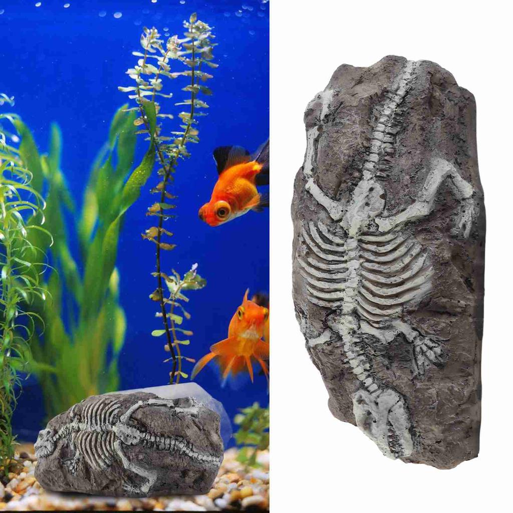 Aquarium Dinosaur Reliquiae Decoration Reptile Resin Dinosaur Reliquiae Rock   for Fish   Aquarium