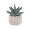 Apricot Lamb Potted Aloe Plush Toy, Soft and Cute, Fluffy Potted Aloe, 21cm