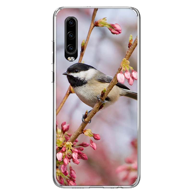 

Чехол для телефона «Сорока с птицей» для Huawei P30 P20 P10 P40 P50 Pro Mate 20 40 30 10 Lite, популярный чехол Fundas Art Gift Coque Shell Huawei P10