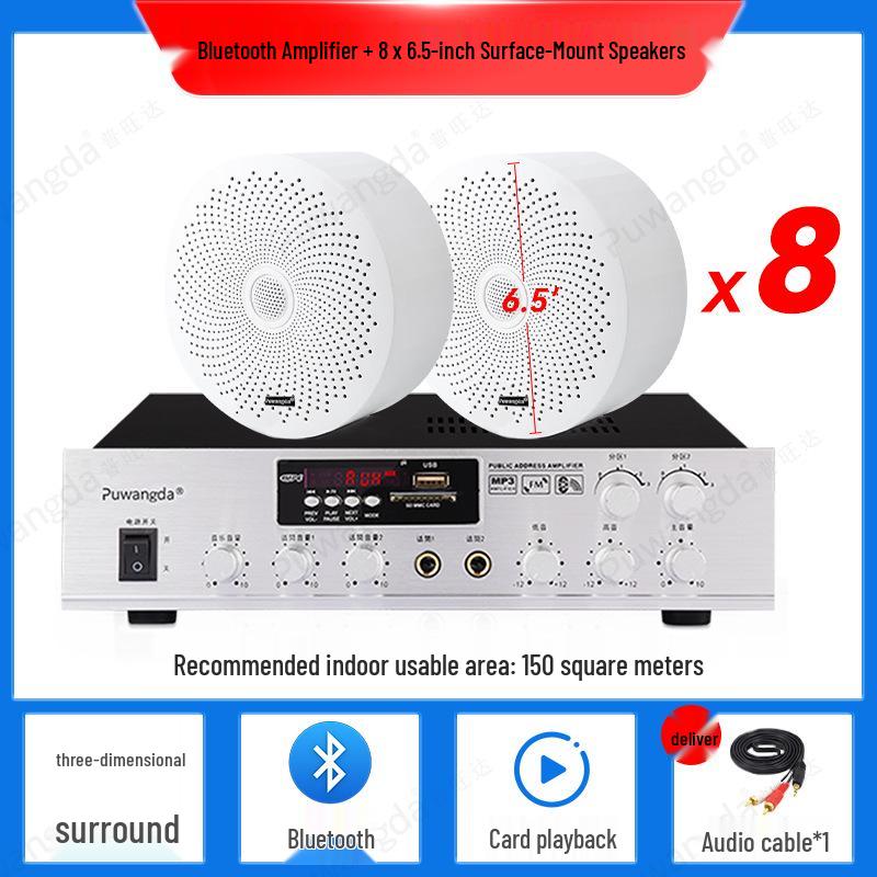 Wireless Indoor Ceiling Speaker with Wall-Mountable Hanging System
