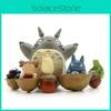 Cartoon My Neighbor Totoro Resin Miniature Garden Decor For Home And Office Use