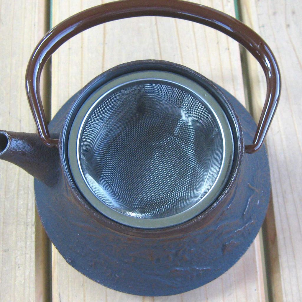 Nagao Mizusawa x Tsubame Sanjo Nanbu Ironware Teapot Landscape 180ml Made in Japan