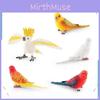 Realistic Parrot Model Pvc Desk Decor For Kids Education And Learning