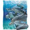 Royce McClure Travelers Silky Dolphin Supersoft Blanket