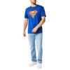 Superman Mens Distressed Logo Cotton Comfort T-Shirt