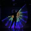 Illuminated Led Fairys Wing for Kids and Adults Glowing Butterfly Wing for Enchanting Parties and Event Angel Wing
